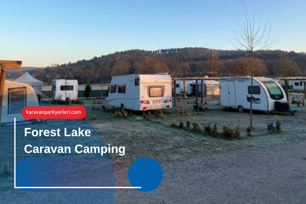 Forest Lake Caravan Camping